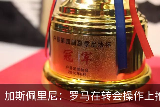 加斯佩里尼：罗马在转会操作上推进偏慢，盼弗里德金加快节奏