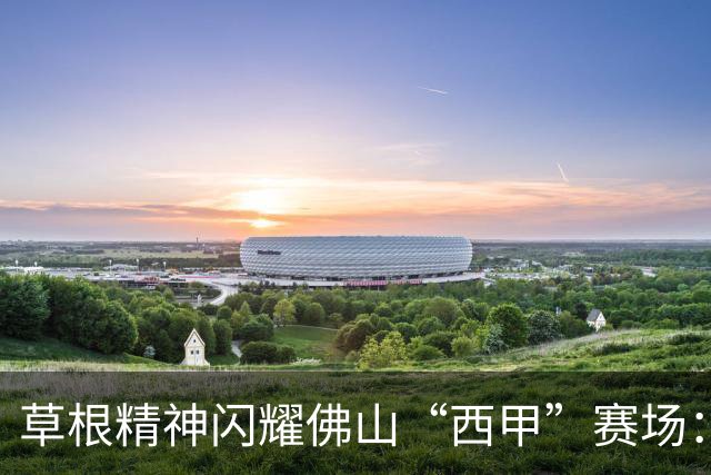 草根精神闪耀佛山“西甲”赛场：云东海控股队顽强战至终章